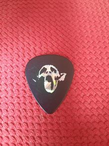 ENTOMBED - Guitar pick/plectrum