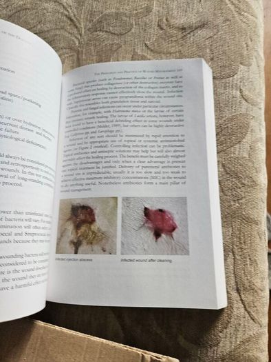 The Professional Handbook Of The Donkey. 4th Edition.  By Dr Elizabeth D. Svendsen. Edited By Professor James Duncan. In Good Condition.  See Photos For Same.