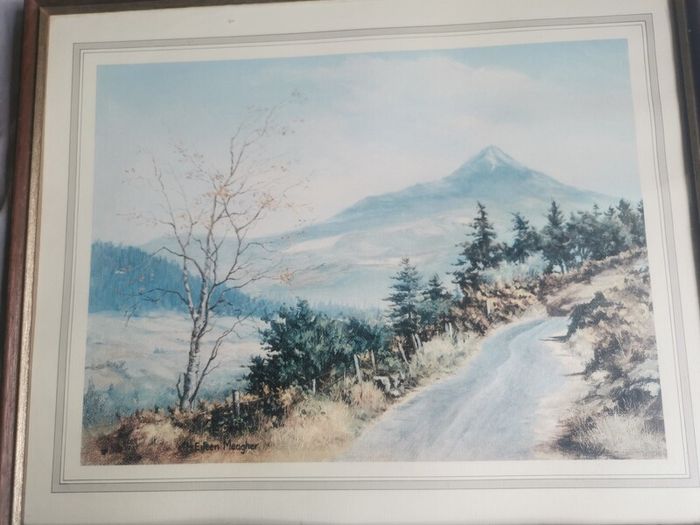 Eileen Meagher Prints Wicklow Scenes. Make an offer for Temple Street.