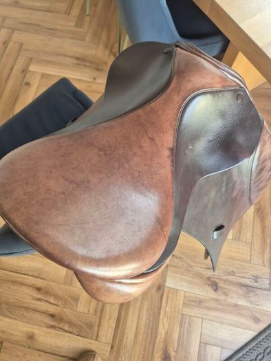 Pony Saddle 16" - Collegiate