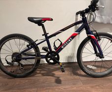 Wiggins 20" kids bike