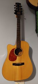 Lefthanded Acoustic Guitar