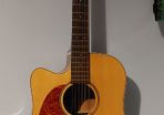 Lefthanded Acoustic Guitar