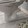 toilet and cistern Image 4