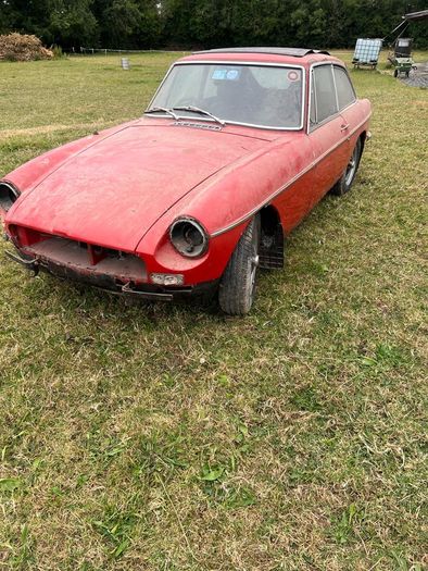 Mg Bgt