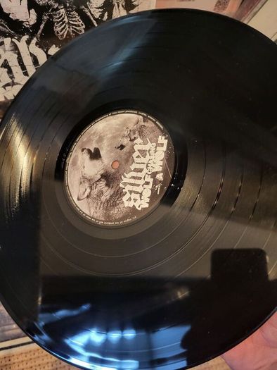 Silver - Wolf Chasing Wolf