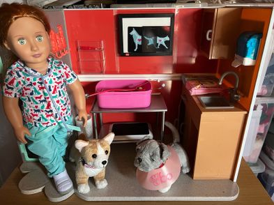 Our Generation Vet Clinic Incl Doll For Sale in Bunclody, Wexford from ...