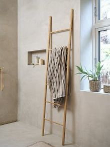 Ladder Storage