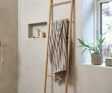 Ladder Storage