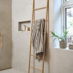 Ladder Storage