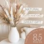 Fluffy Dried Flowers for Home Decor Image 9