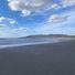rirl1