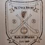 Gaa crest Image 2