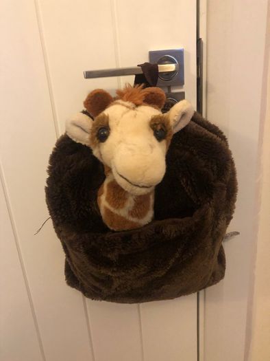 Toys r us backpack
