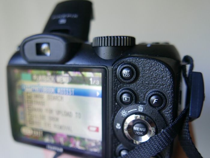 Fujifilm FinePix S2950 14MP Digital Bridge Camera