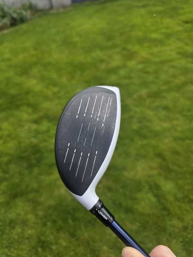 Sim2 Max Driver