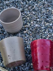 Free plant pots
