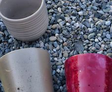 Free plant pots