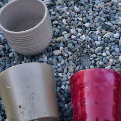 Free plant pots