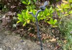 garden ornament