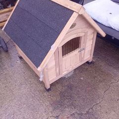 dog box