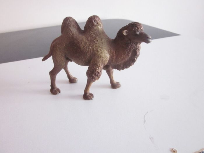 2017  Collecta Animal Toy / Figure Bactrian Camel