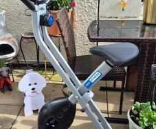Pro Fitness Excercise Bike