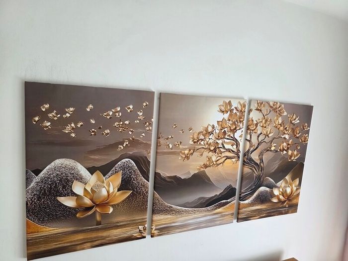 3 framed printed canvas 35x55cm each