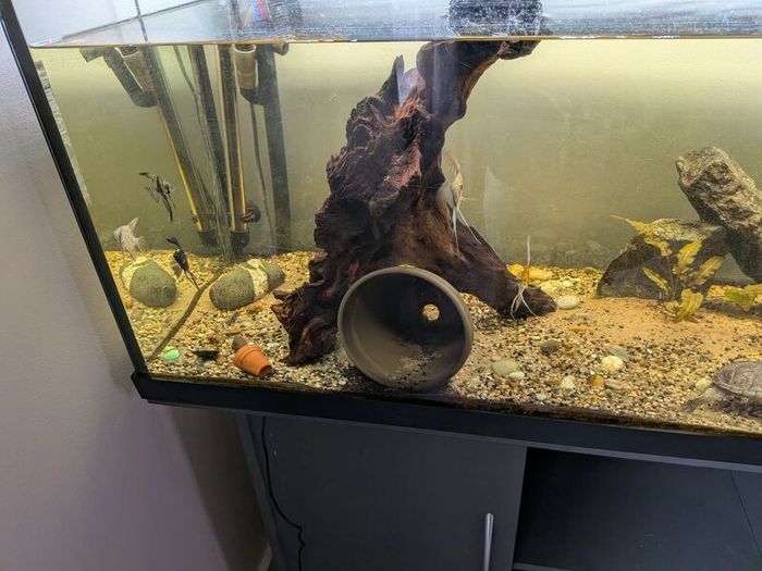 Juwel fish tank
