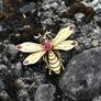 Antique Russian Art Nouveau Bee Brooch/Pendant Image 2