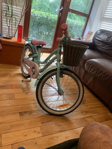 18 Inch Verve Star kids Bike with Basket Mint color