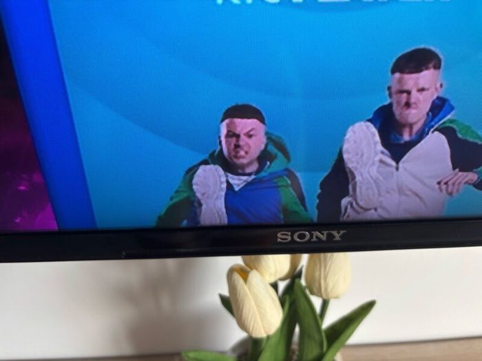 Sony Bravia 48 TV Android incl stand&wallbracket