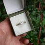 9ct Yellow Gold  Zirconia  Dress Ring 2,4g Image 2