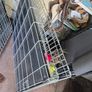 Crate,cage,pets,dogs Image 3