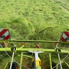 baled silage