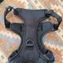 XL Dog Harness Image 2