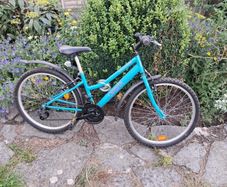 kids bike aged 8-12