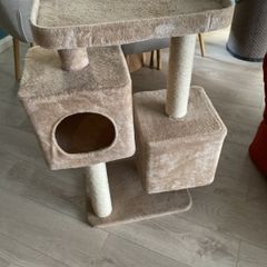 cat tree