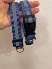 dog collar size small