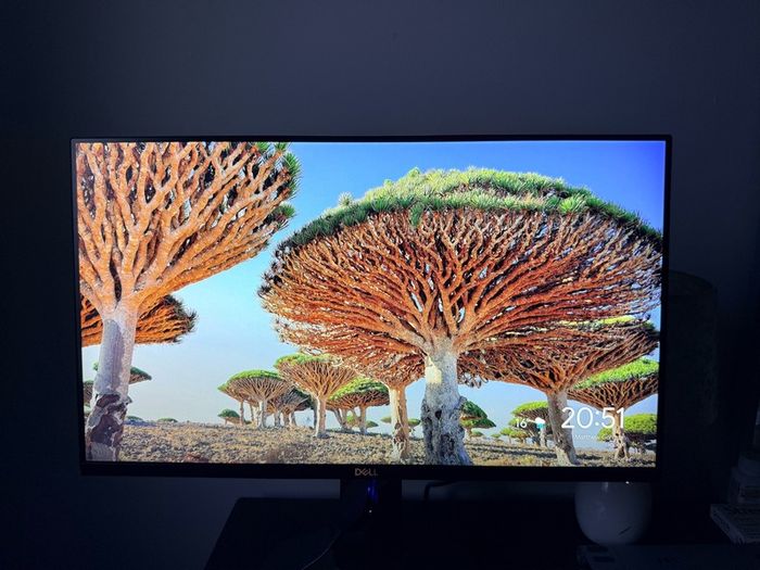 Dell 24" Full HD Gaming Monitor - 1080p, HDMI, G-Sync - Excellent Condition