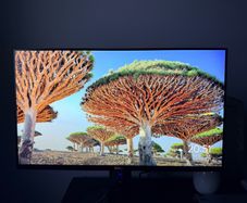 Dell 24" Gaming Monitor - 165Hz/144Hz - Excellent Condition - G-Sync Compatible