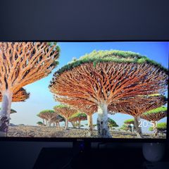 Dell 24" Gaming Monitor - 165Hz/144Hz - Excellent Condition - G-Sync Compatible