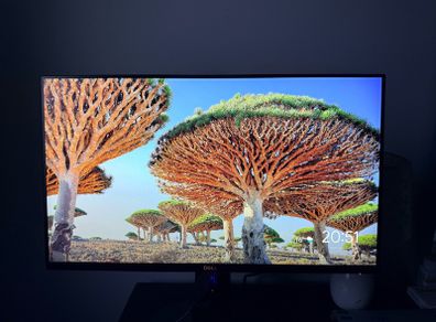 Dell 24" Full HD Gaming Monitor - 1080p, HDMI, G-Sync - Excellent Condition