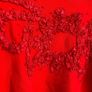 Designer Red Top Gigot Sleeves Image 2