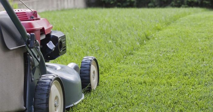 Grass Cutting & Garden Maintenance