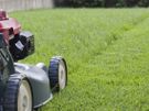 Grass Cutting & Garden Maintenance Image 3