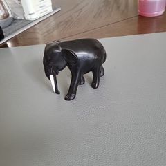 Elephant ebony