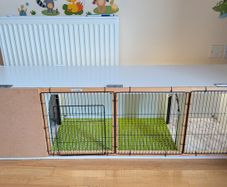 Rabbit hutch
