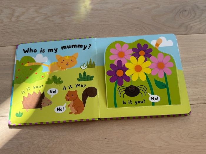Who's My Mummy? Lift-the-flap book