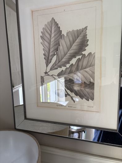 Two mirrored limited edition picture prints stunning